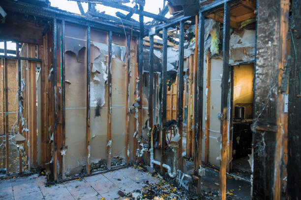 Professional Fire Damage Removal technician working in Hamel, MN